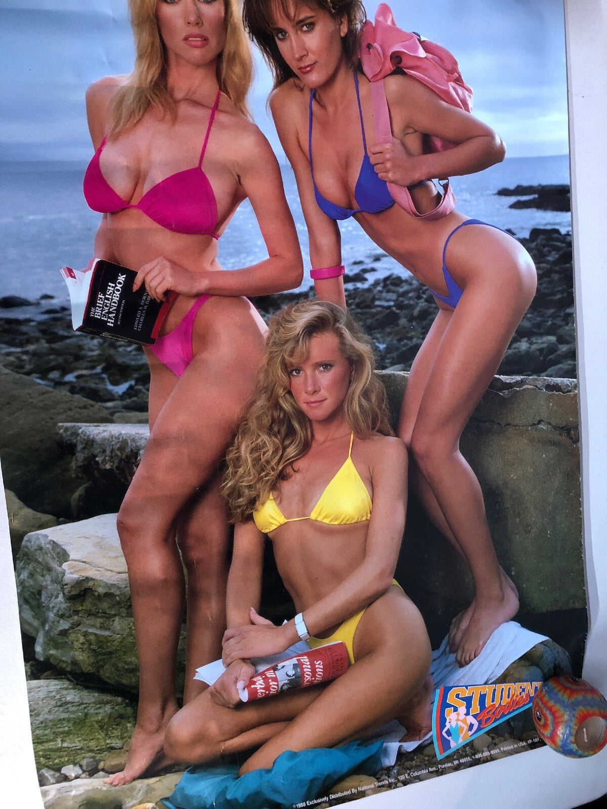 1988 Student Badies In Sexy BIKINI Beach Bods National Trends 23x35 POSTER0