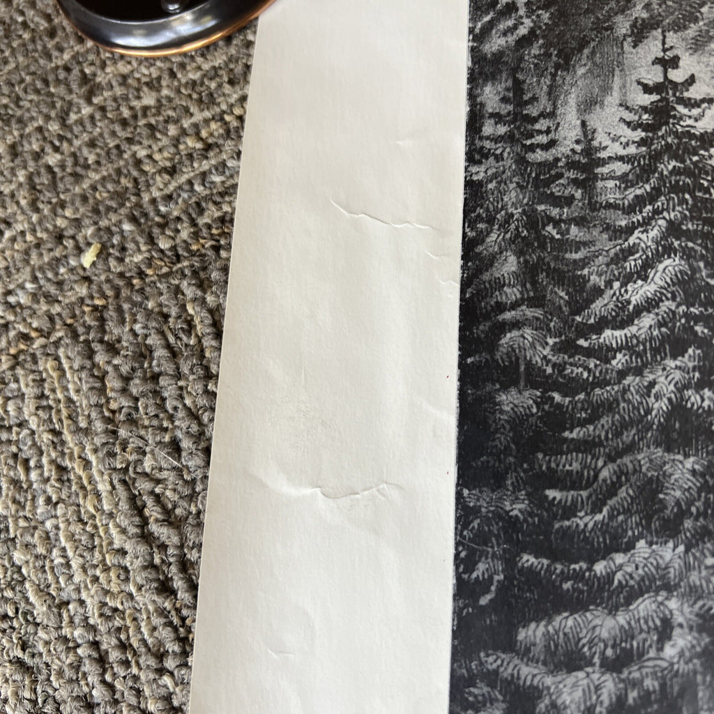 Vintage Yosemite Valley “The Bridal Veil” Fall  Black and White Poster 3