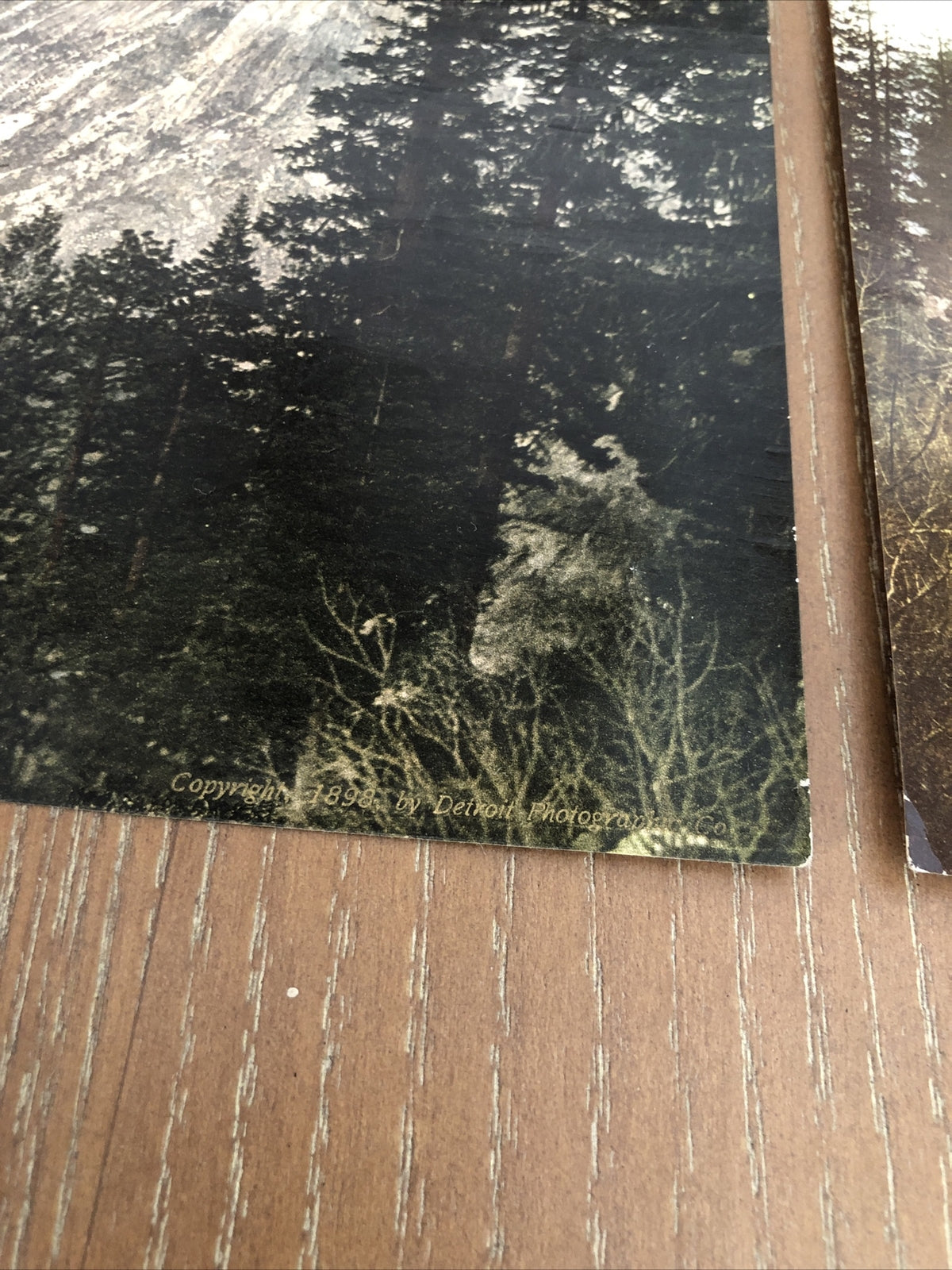 SUPERB 1898 Original Photo Lot Of 2 South  Dome El Capitan YOSEMITE 7” x 9”5