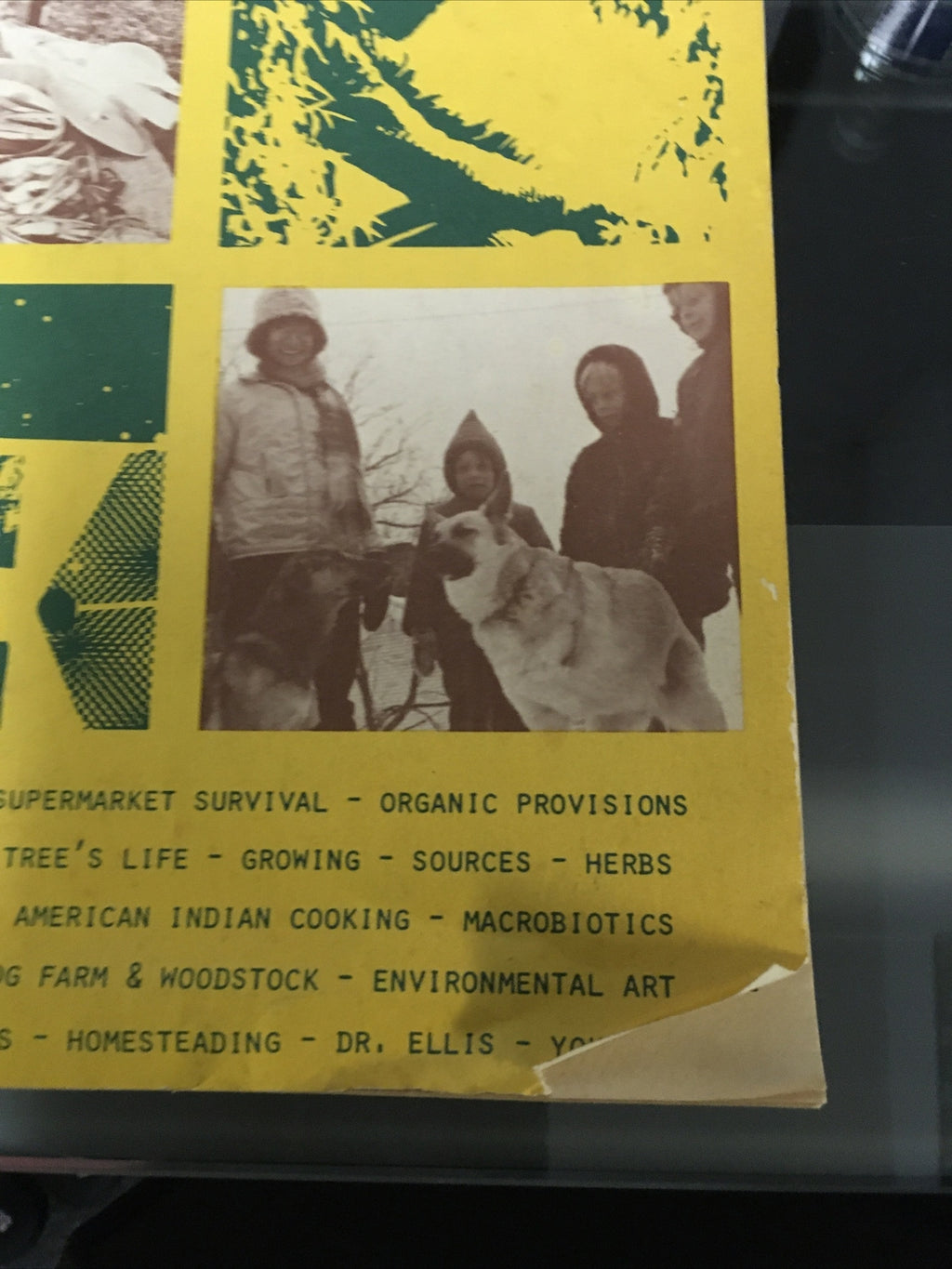 Rare 1971 NATURAL LIFE STYLES #1 Guide to Organic Living Euell Gibbons Yoko Ono1