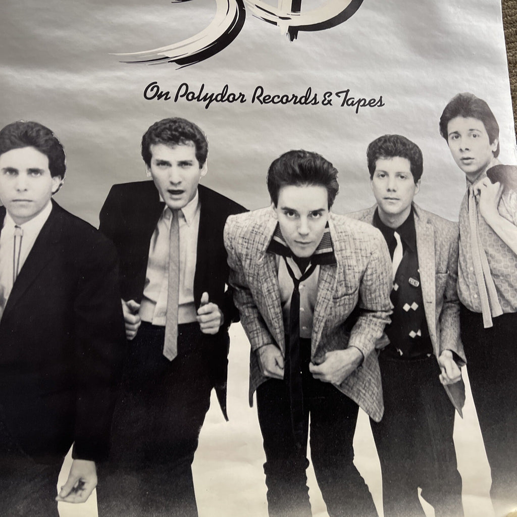 #174 1980 3-D Record Store Promo Poster 22” X 17” New Wave Polydor4