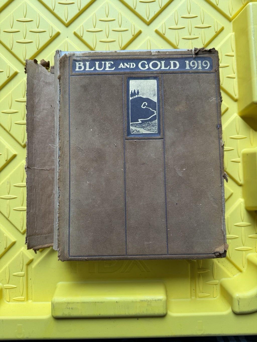 1919 Blue and Gold University of California Berkeley UC Berkeley Yearbook Vol 450