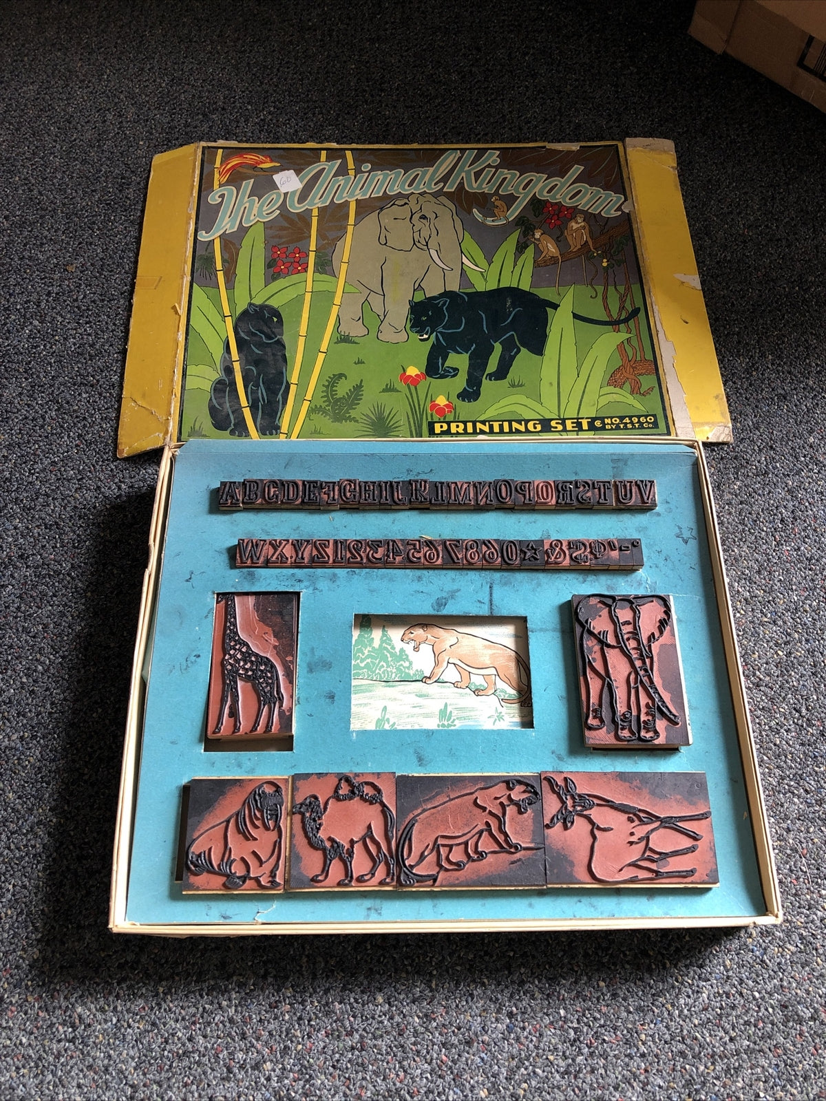 Rare Vintage Printing Set By T.S.T Co. “The Animal Kingdom” No. 49607