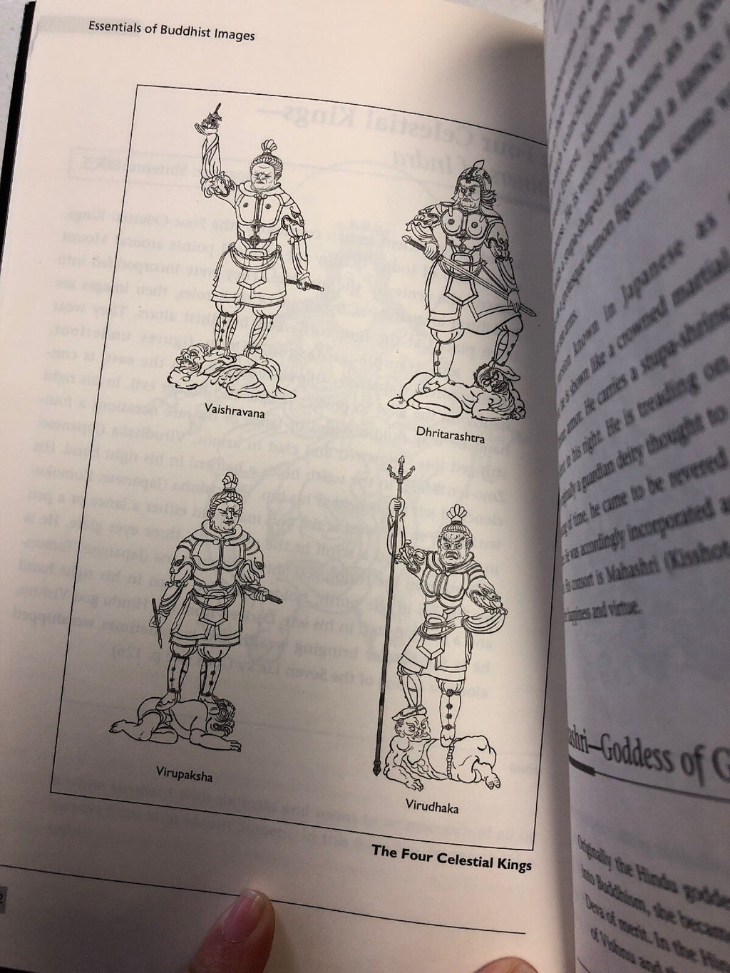 Essentials Of Buddhist Images: A Comprehensive Guide By Kodo Matsunami4