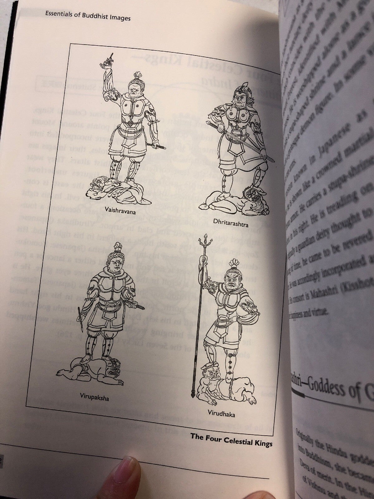 Essentials Of Buddhist Images: A Comprehensive Guide By Kodo Matsunami4