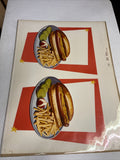 VINTAGE CARL'S JR. HARDEE'S Original Menu Artwork Lithograph Sign Display 19530
