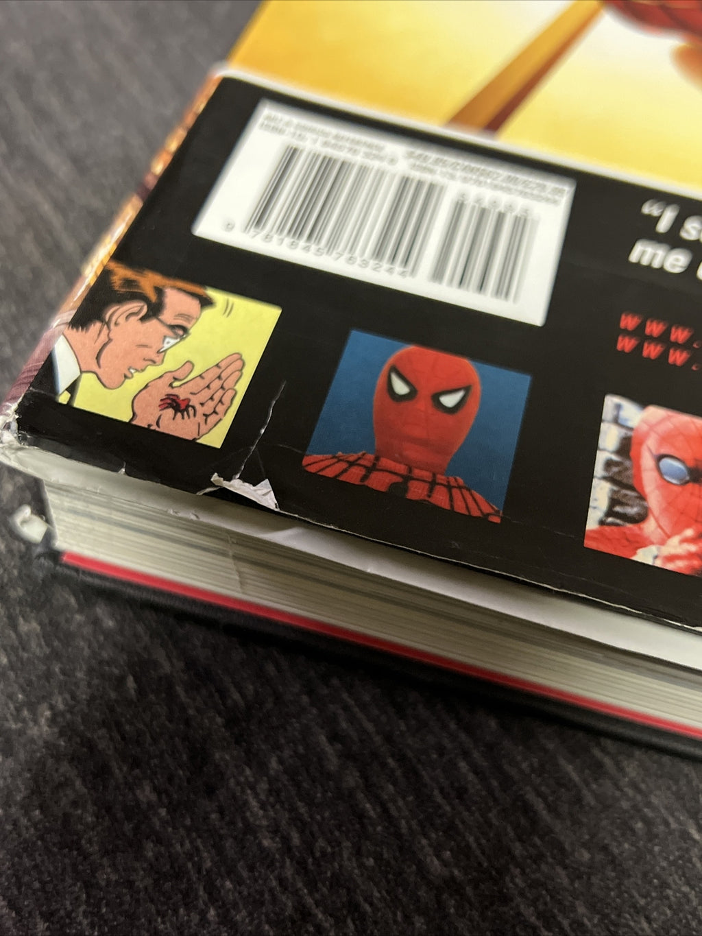 Spider-Man the Icon: The Life and Times of a Pop Culture Phenomenon (2007)9