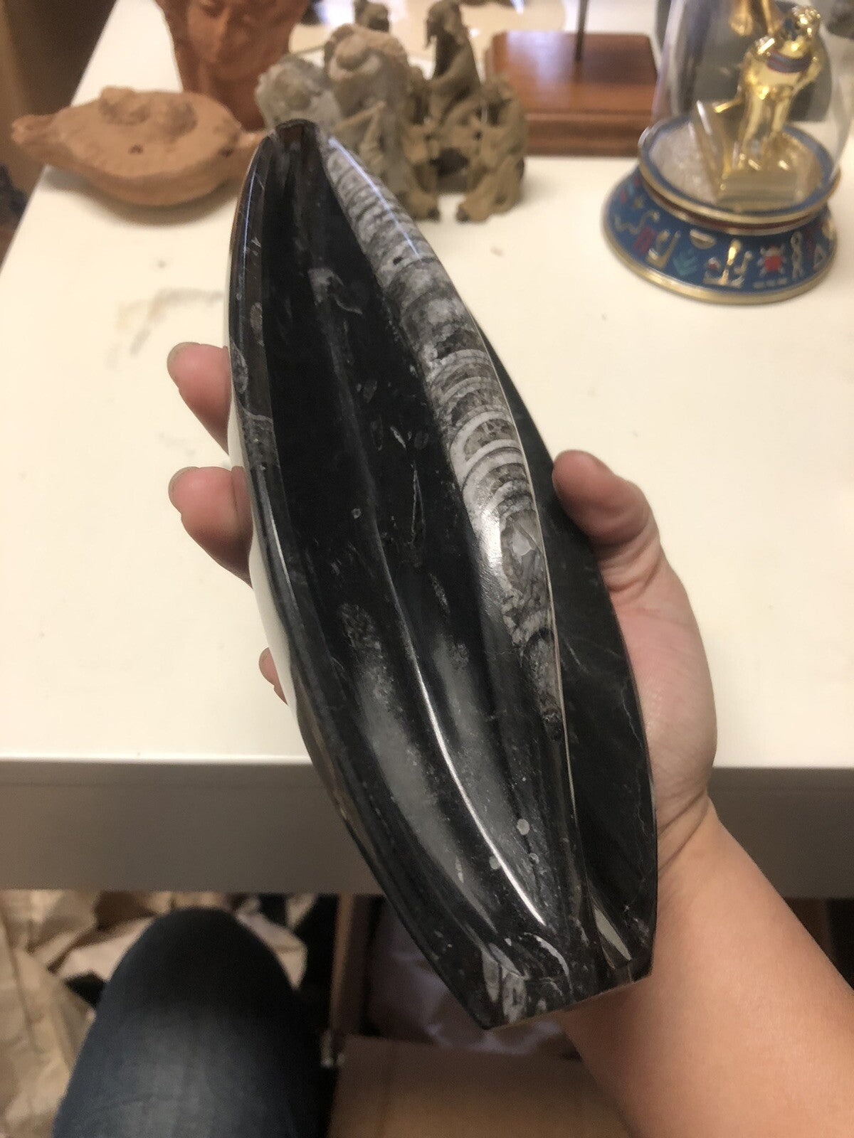 Natural Orthoceras Fossils Leaf Shape Stone Decoration2