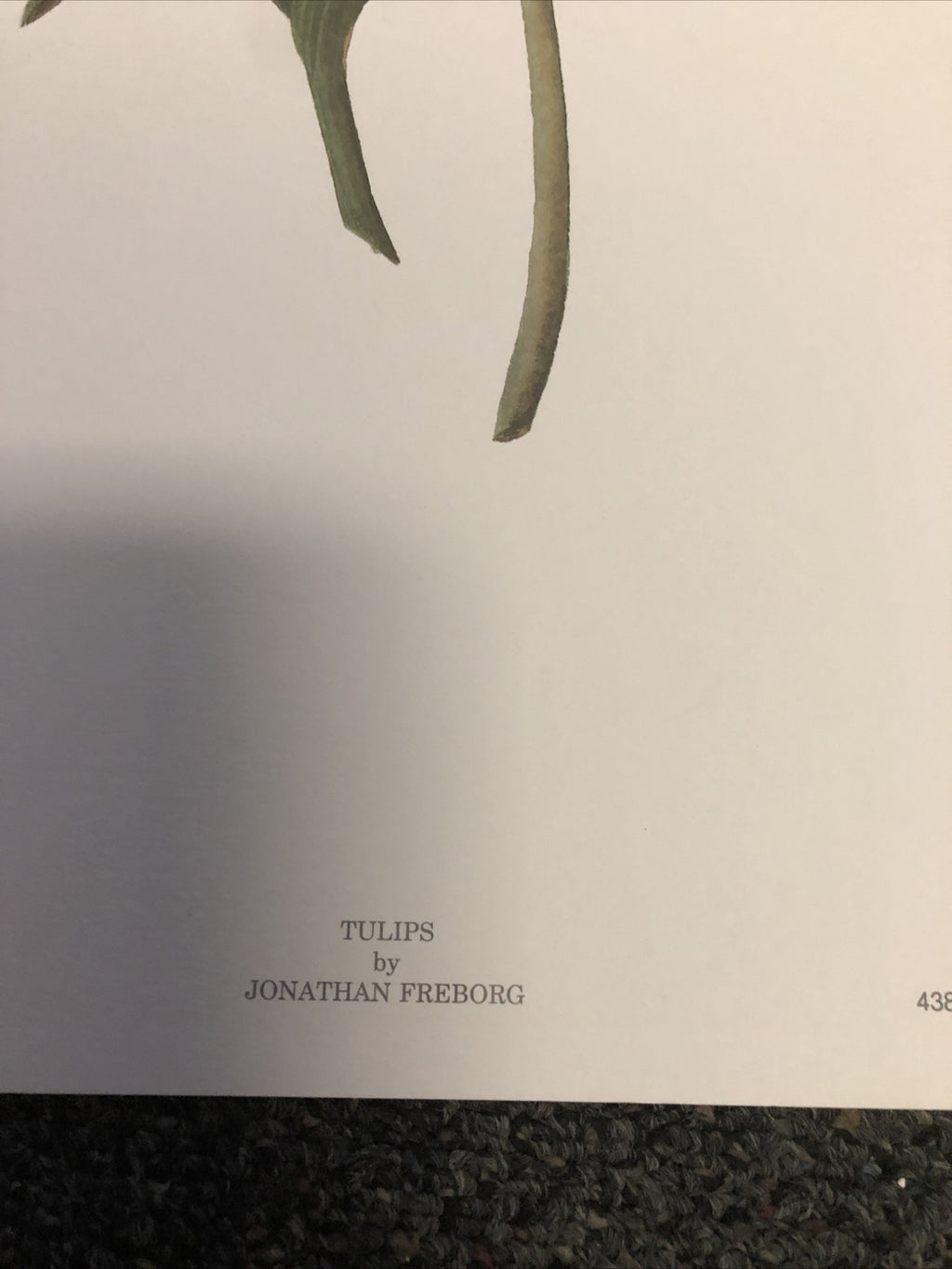 Vintage 1989 Haddad's Fine Art “Tulips” By Johnathan Freborg 22.5”x17.5”2