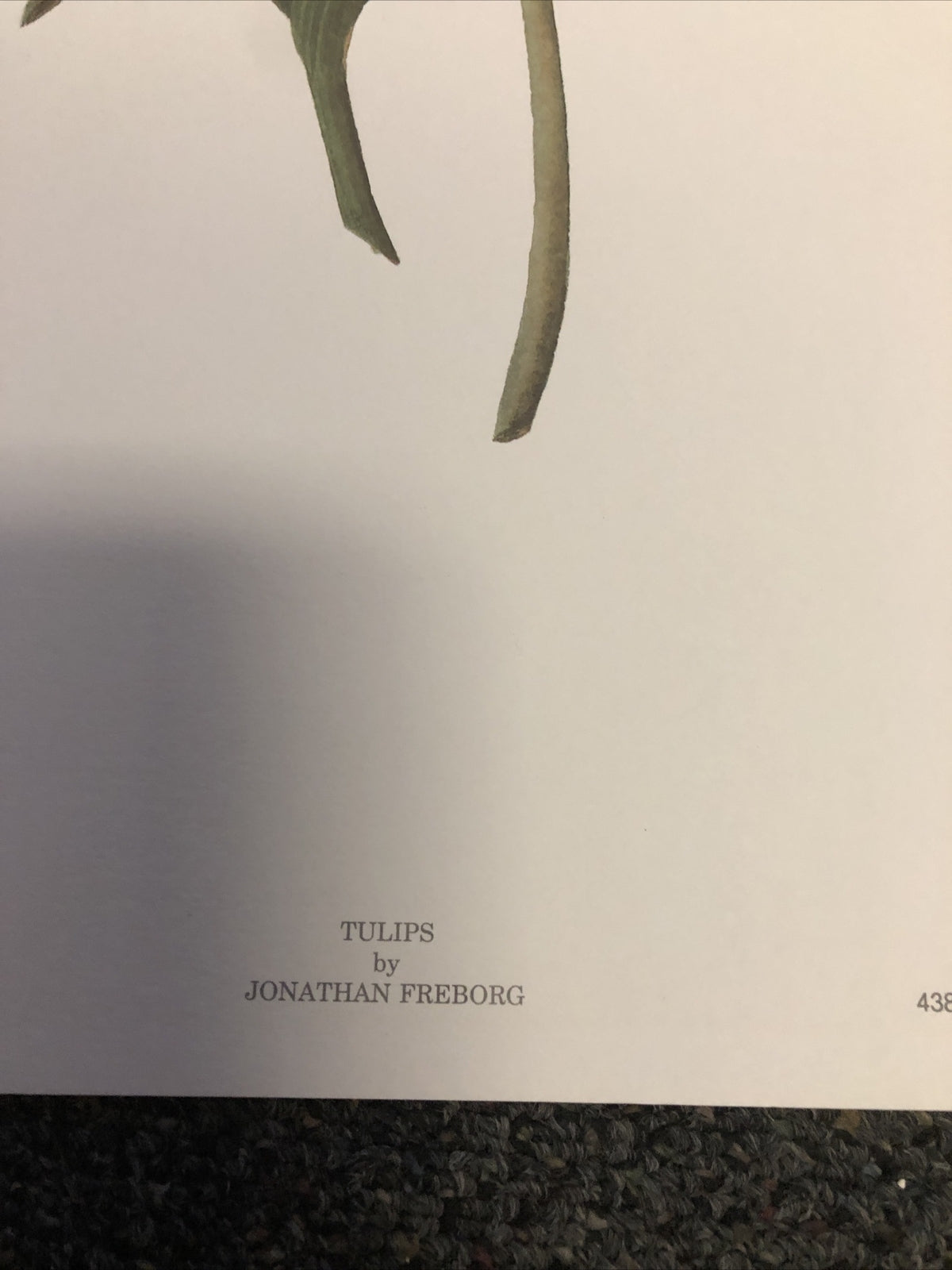 Vintage 1989 Haddad's Fine Art “Tulips” By Johnathan Freborg 22.5”x17.5”2