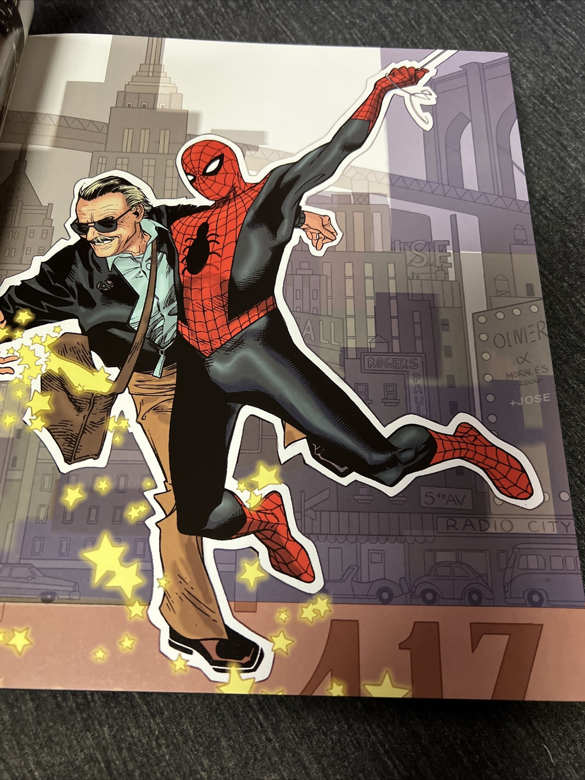 Spider-Man the Icon: The Life and Times of a Pop Culture Phenomenon (2007)2