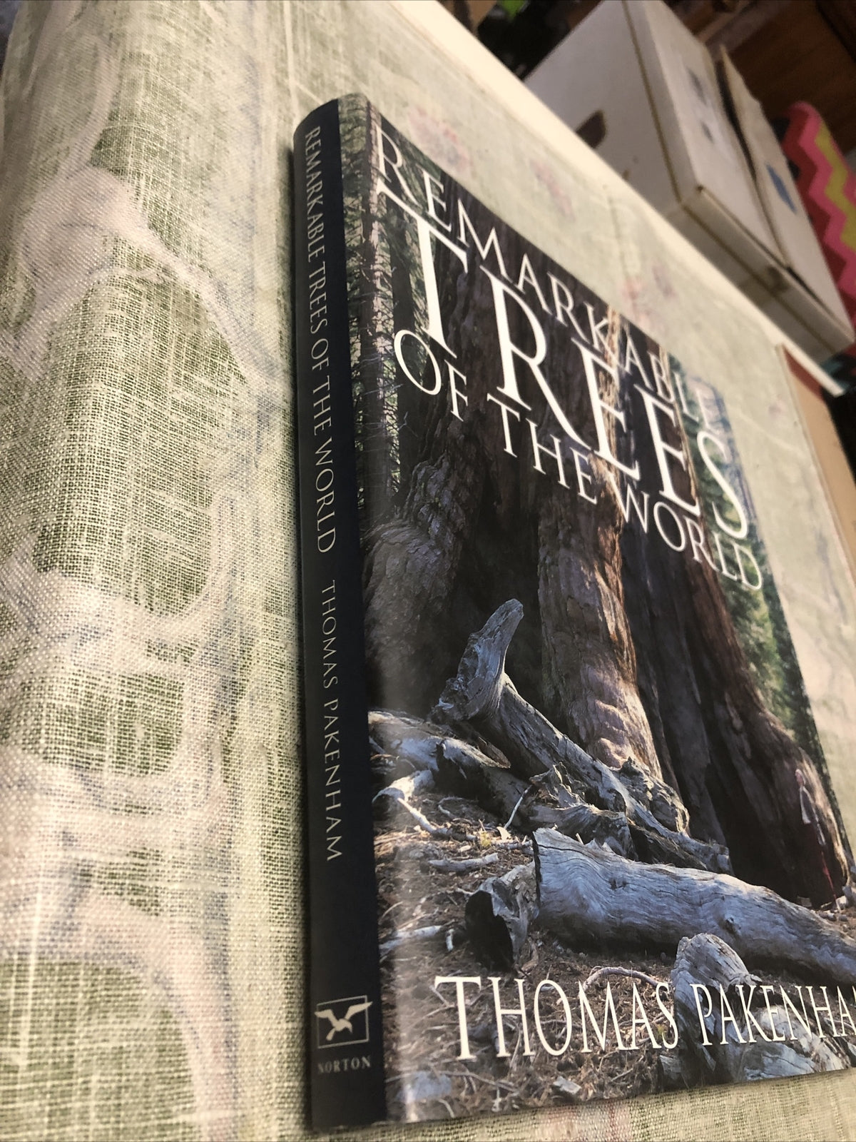 Remarkable Trees of the World by Thomas Pakenham (2002, Hardcover)1