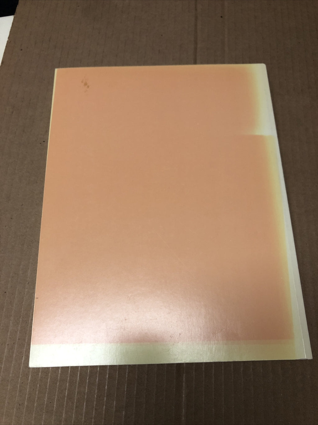 THE WAYWARD MUSE - A Historical Survey of Painting in Buffalo, Susan Krane 19872