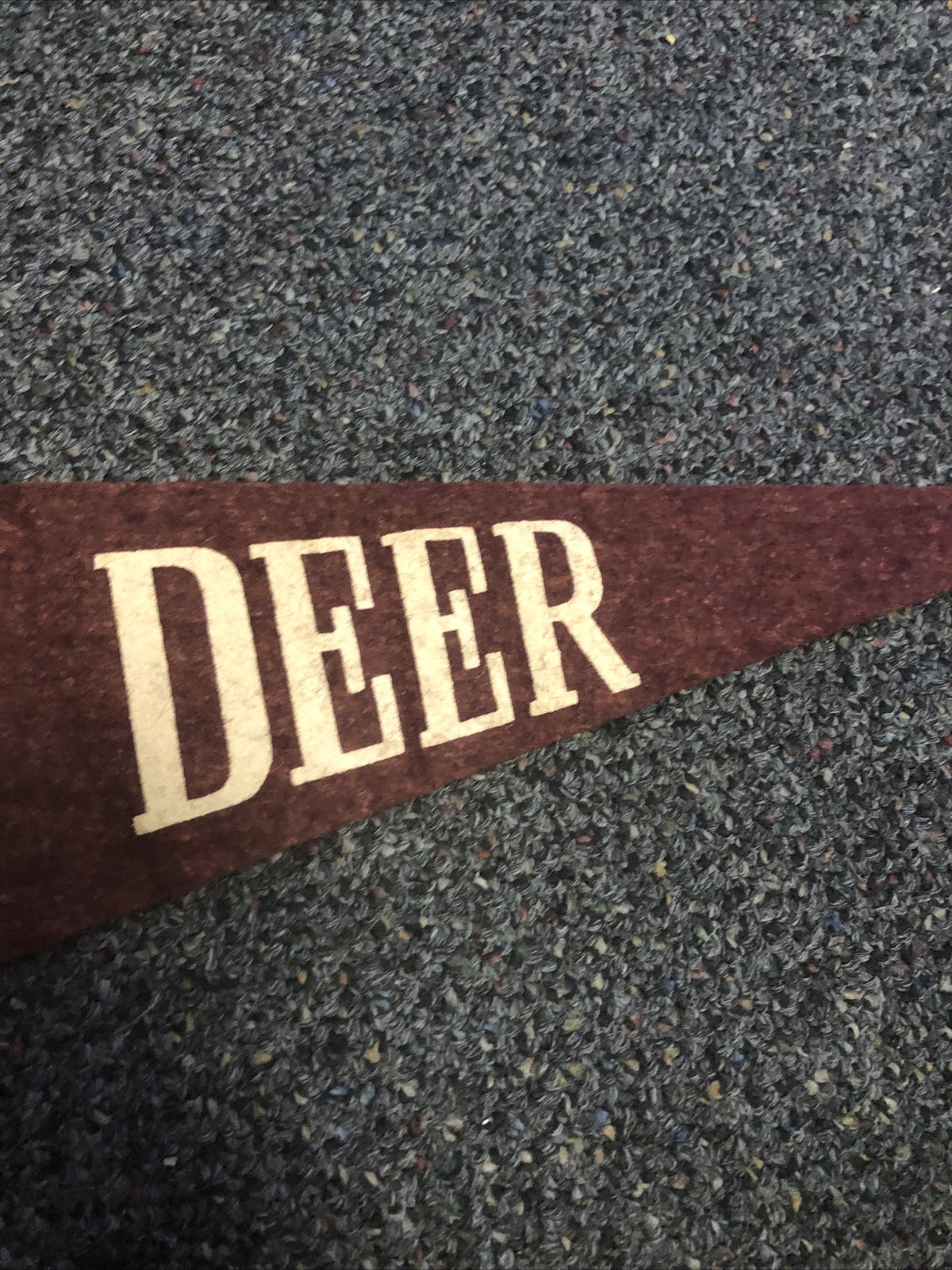 Vintage Red Deer Canada Felt Pennant3