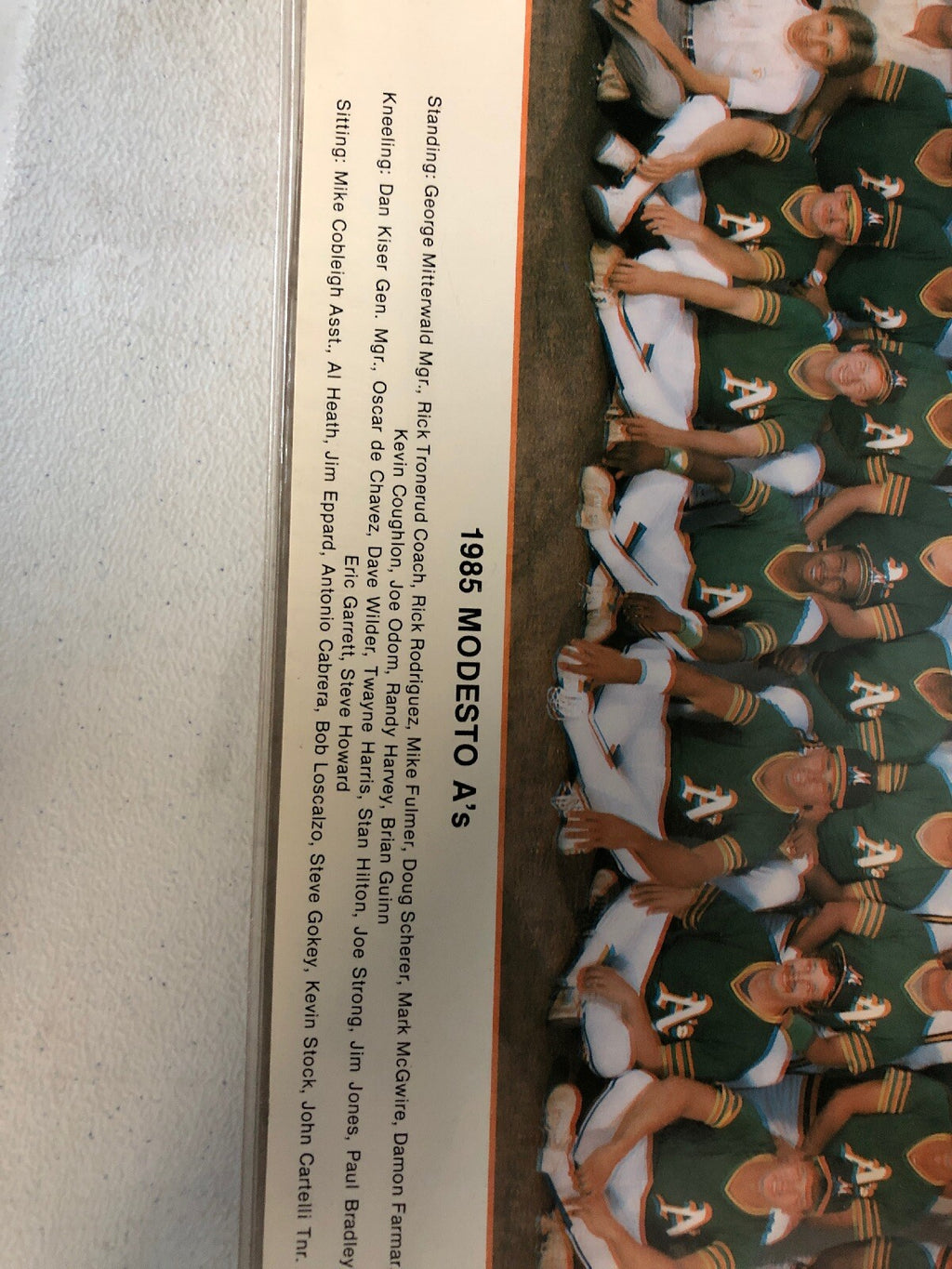 Authentic Vintage 1985 Modesto A's World Championship Team Photo Oakland As1