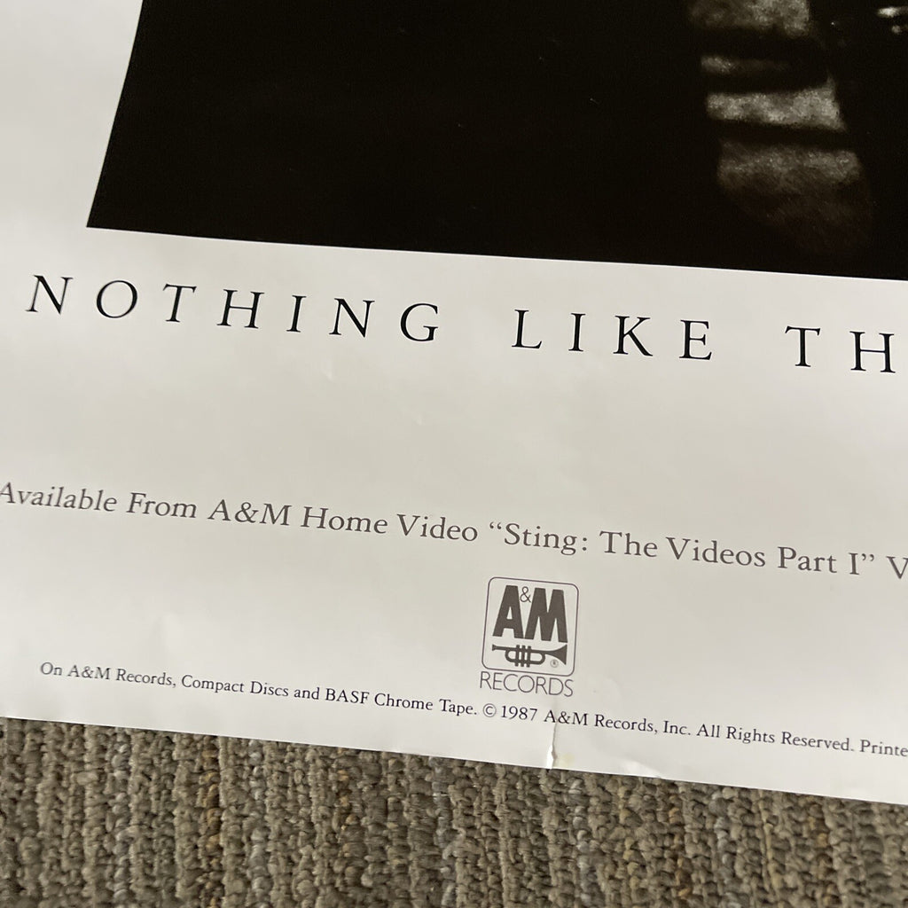 #161 1987 Sting Record Store promo poster Nothing Like The Sun 24” X 36”3