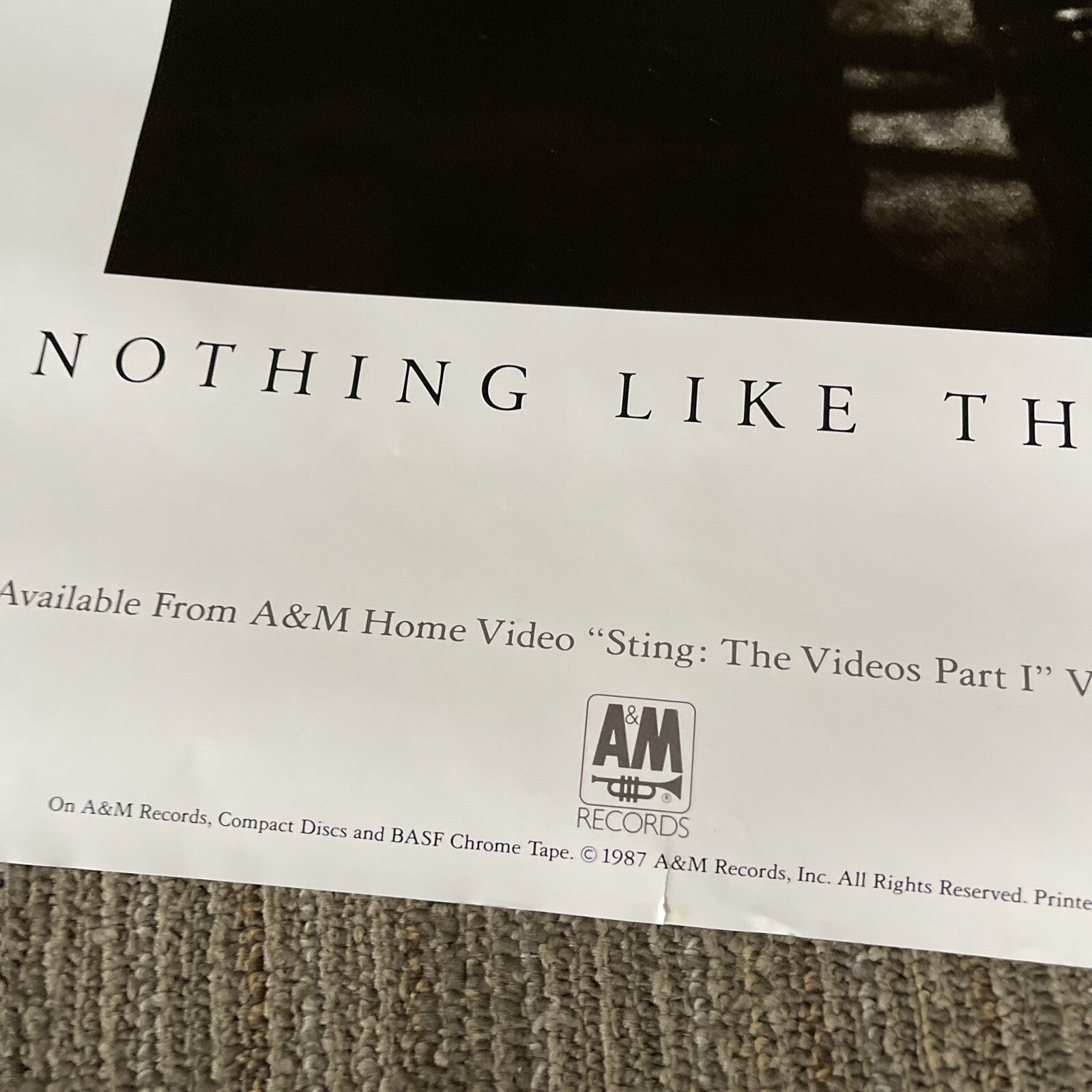 #161 1987 Sting Record Store promo poster Nothing Like The Sun 24” X 36”3
