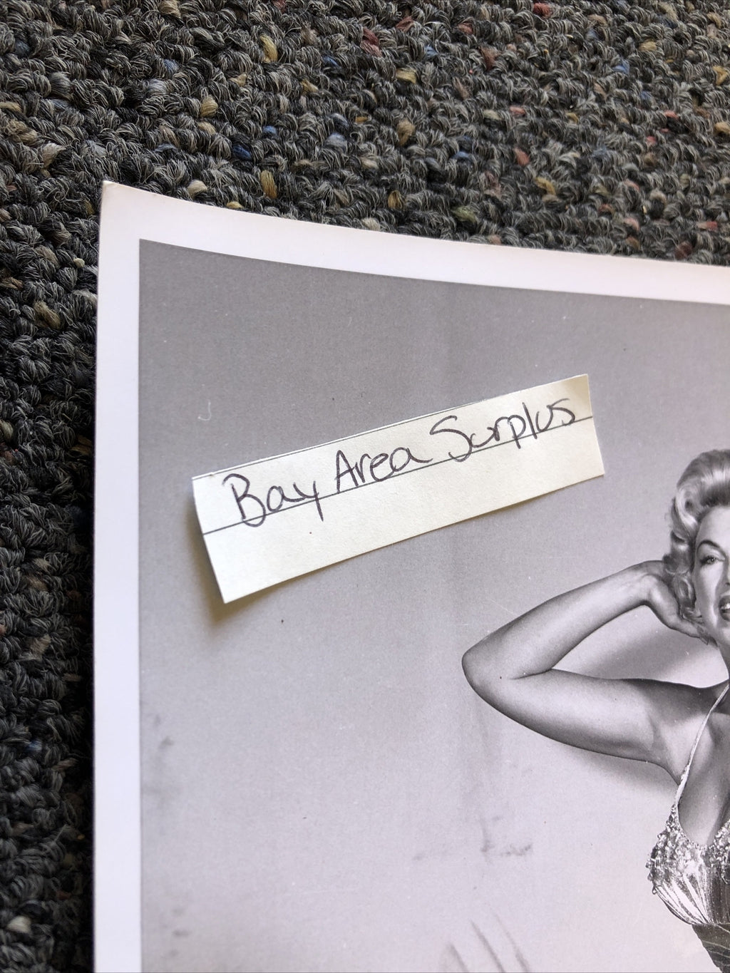 Original Unpublished Photo Of Actress Barbara Nichols Photograph Rare 10”x8”1