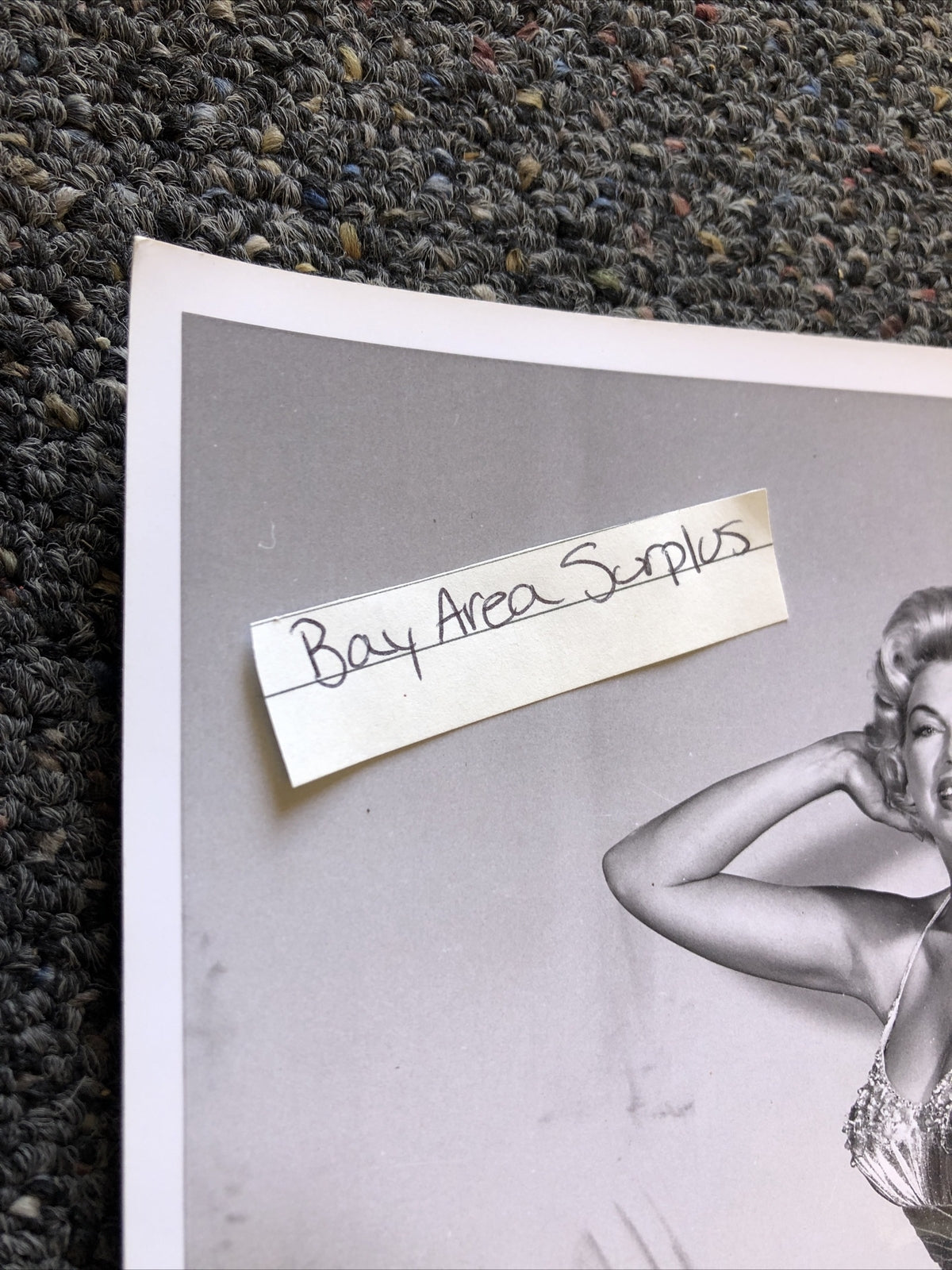 Original Unpublished Photo Of Actress Barbara Nichols Photograph Rare 10”x8”1