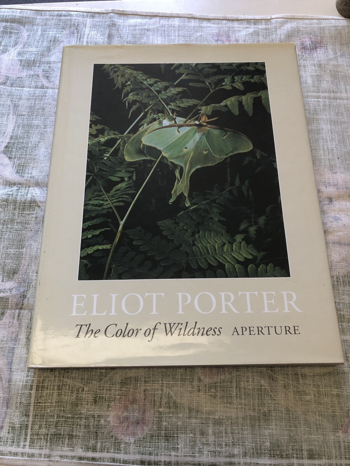 Eliot Porter : The Color of Wildness by Rebecca Solnit; John Rohrbach0