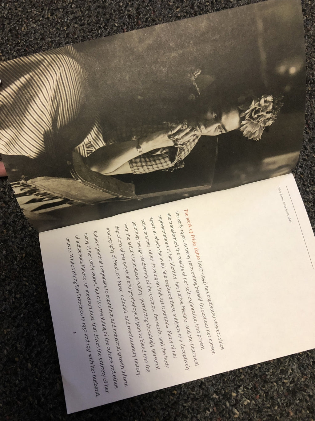Frida Kahlo (San Francisco Museum of Modern Art Exhibition Booklet, 2008)2