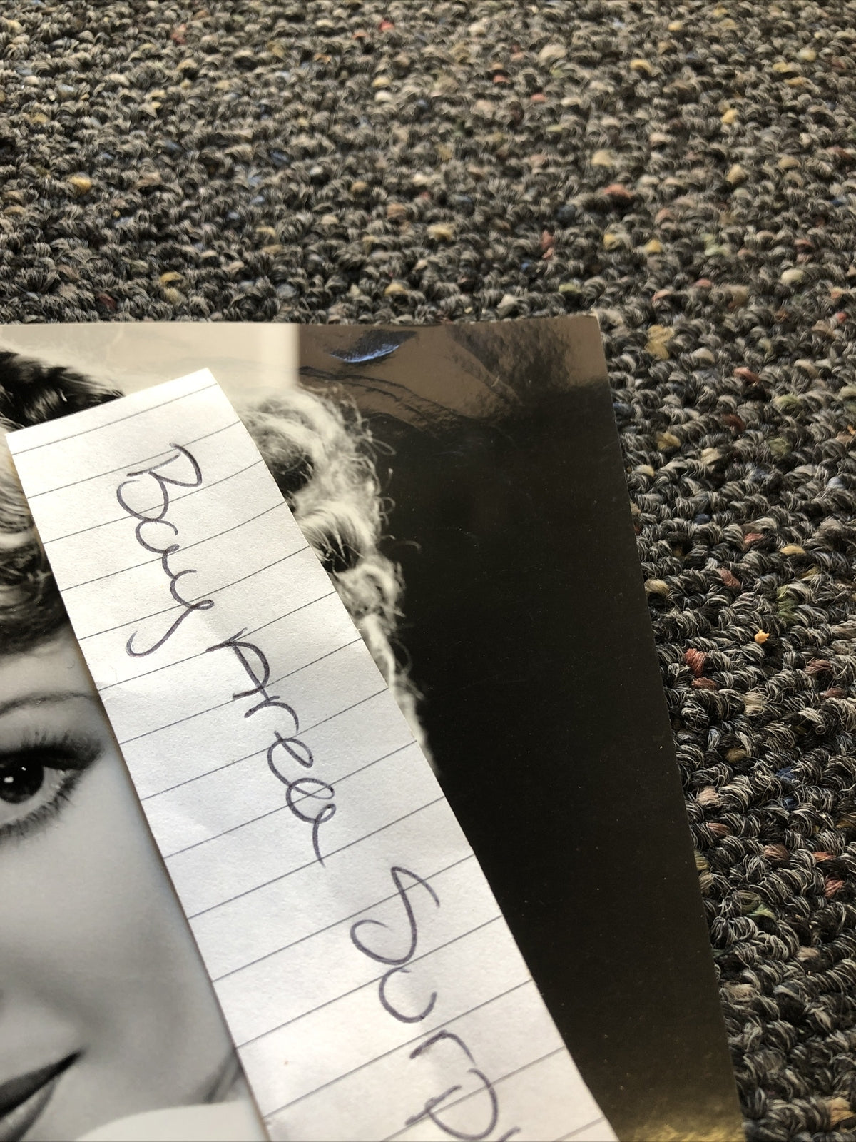 Rare Original Unpublished Photo Of BLANCA VISCHER 9”x6” Glamour Shot1