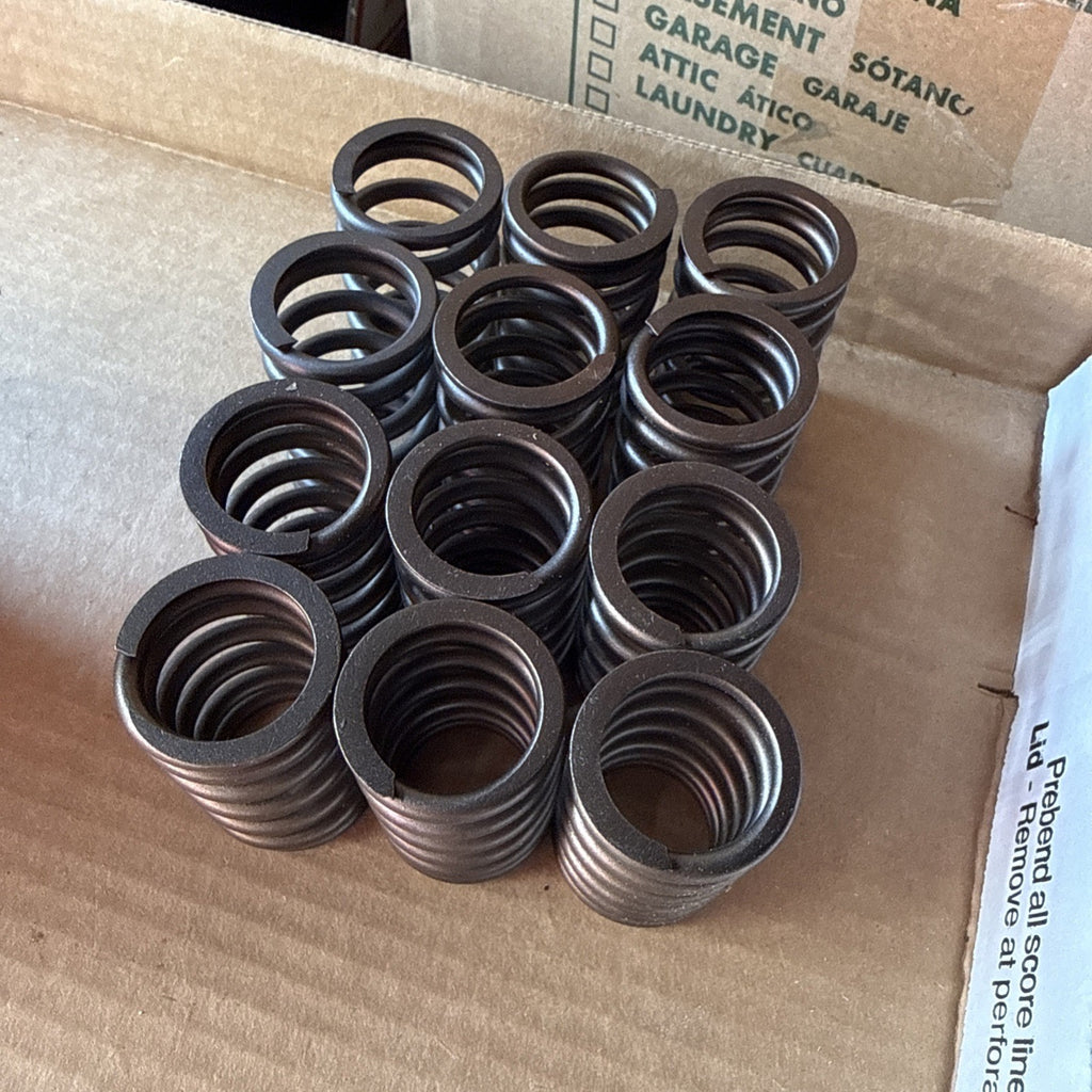 SBI 160-1172 Engine Valve Springs Set of 12- Fits Ford 170 L6 - New NOS1