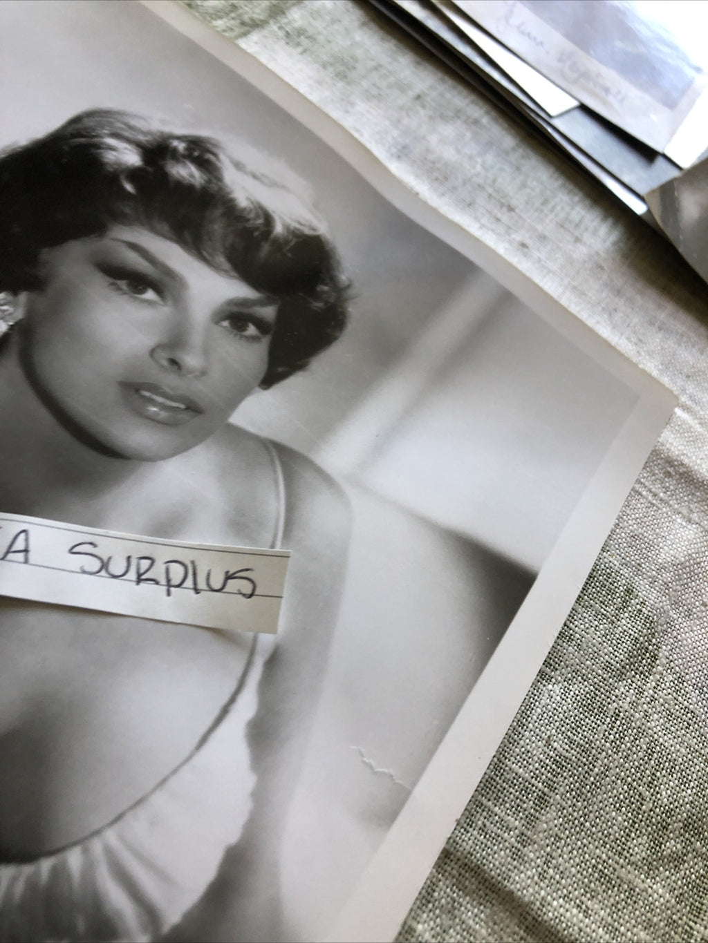 Rare Original Photo Of Gina Lollobrigida Unpublished Hollywood 10”x8”3
