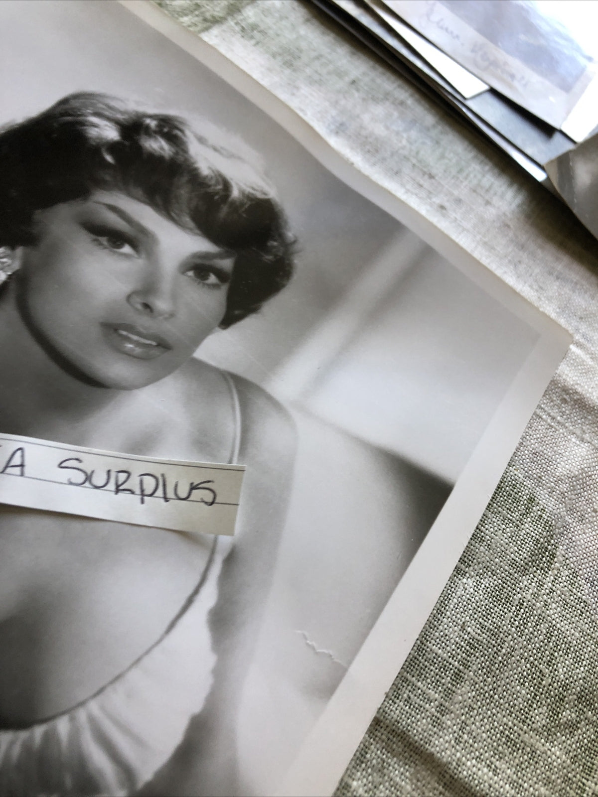 Rare Original Photo Of Gina Lollobrigida Unpublished Hollywood 10”x8”3