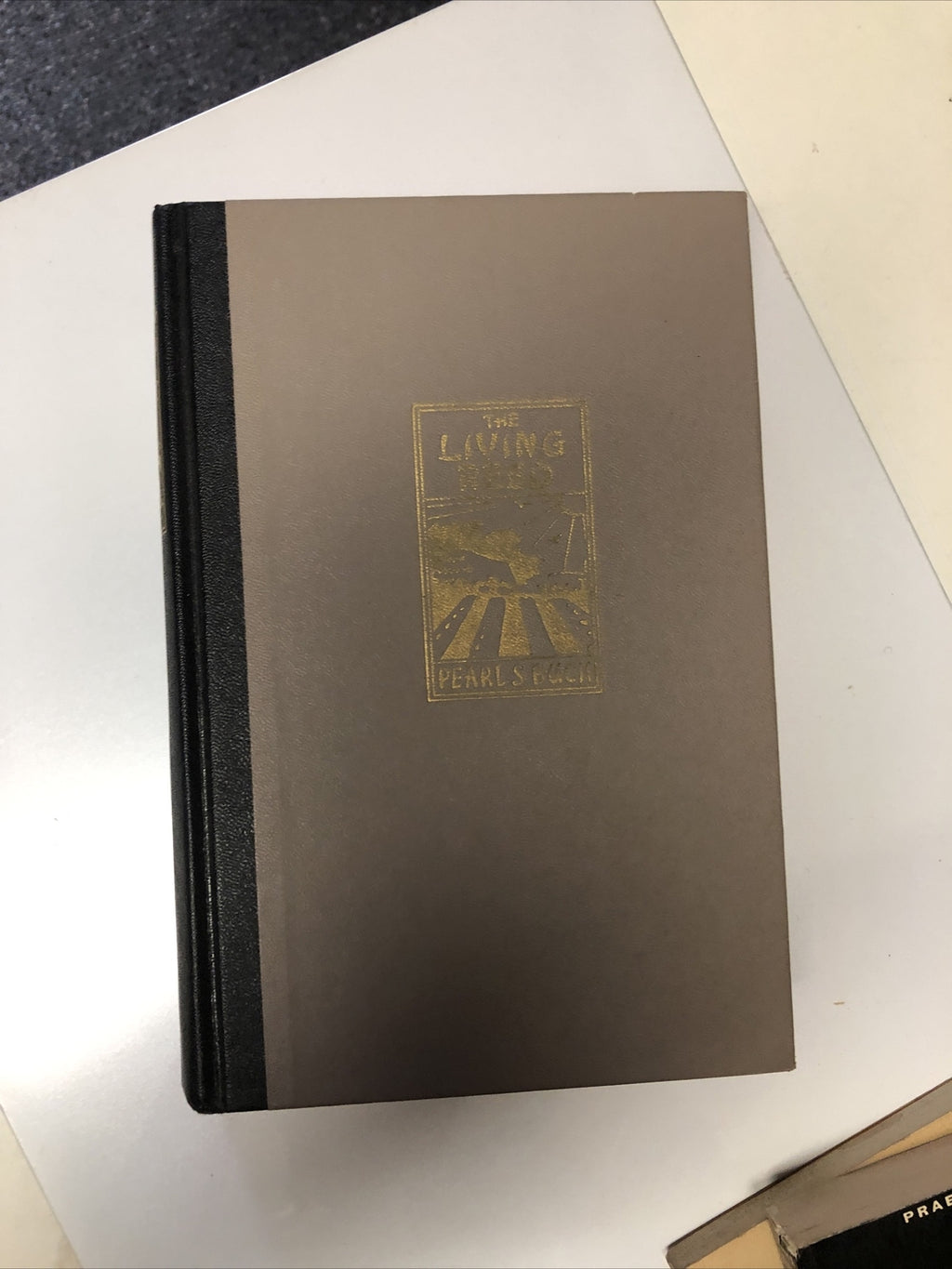 The Living Reed | Pearl S. Buck | 1963 | Hardcover1