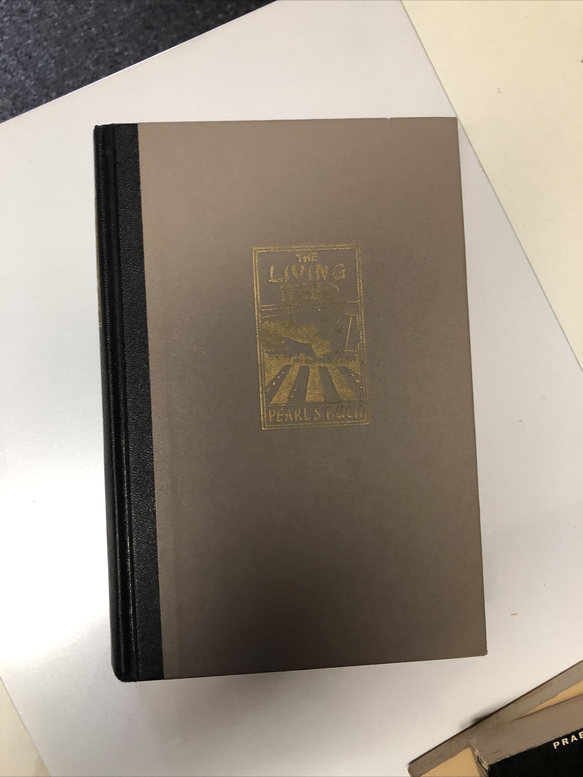 The Living Reed | Pearl S. Buck | 1963 | Hardcover1