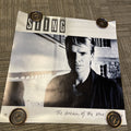 #163 1985 Sting Record Store promo poster Dream Of The Blue Turtles 24” X 24”0