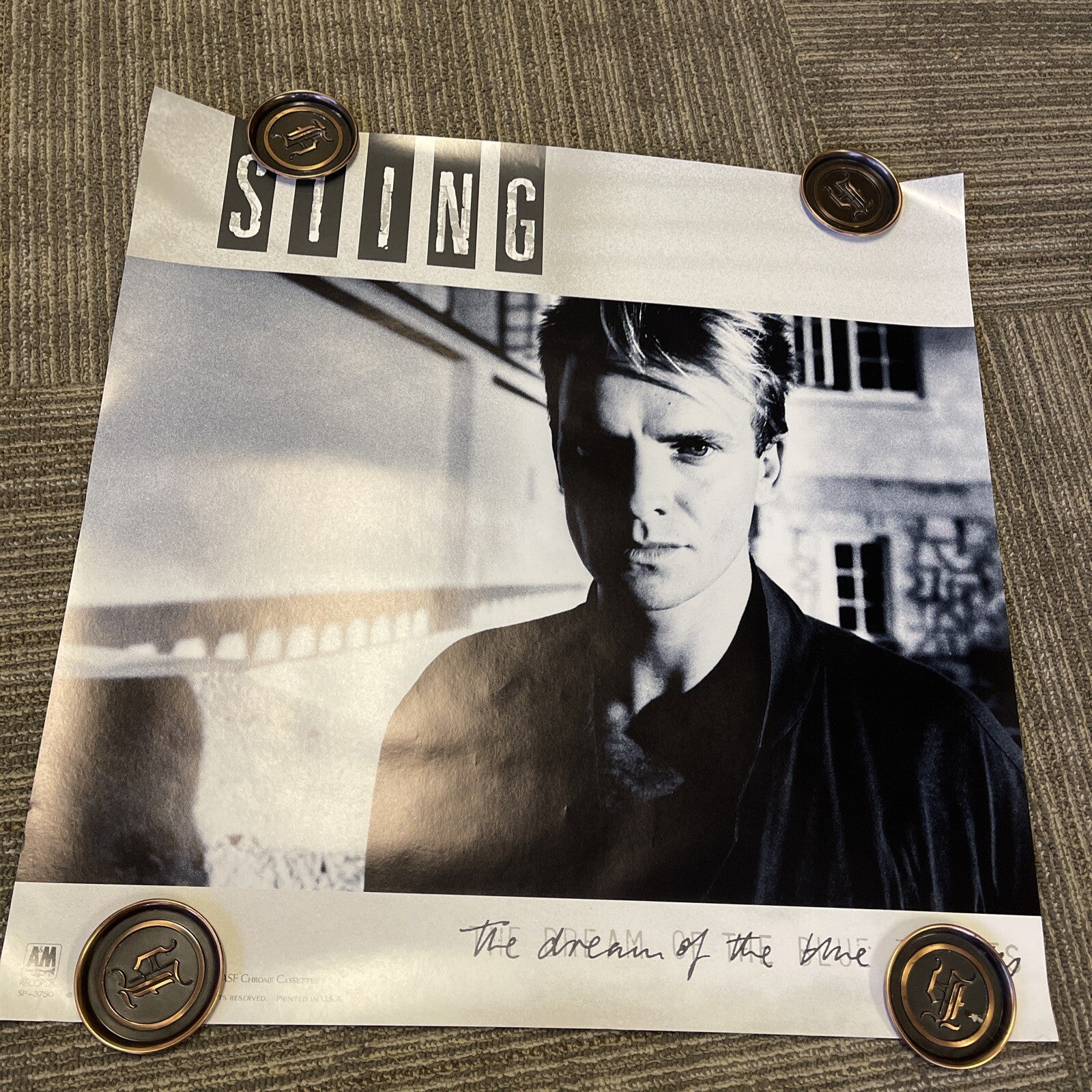 #163 1985 Sting Record Store promo poster Dream Of The Blue Turtles 24” X 24”0