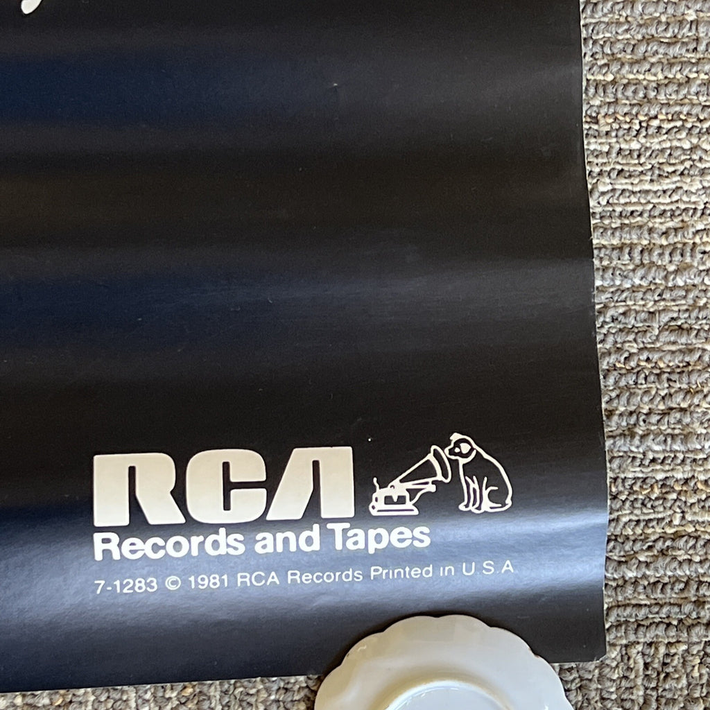 Daryl Hall John Oates Private Ryes RCA 1981 Album Promo Poster #123