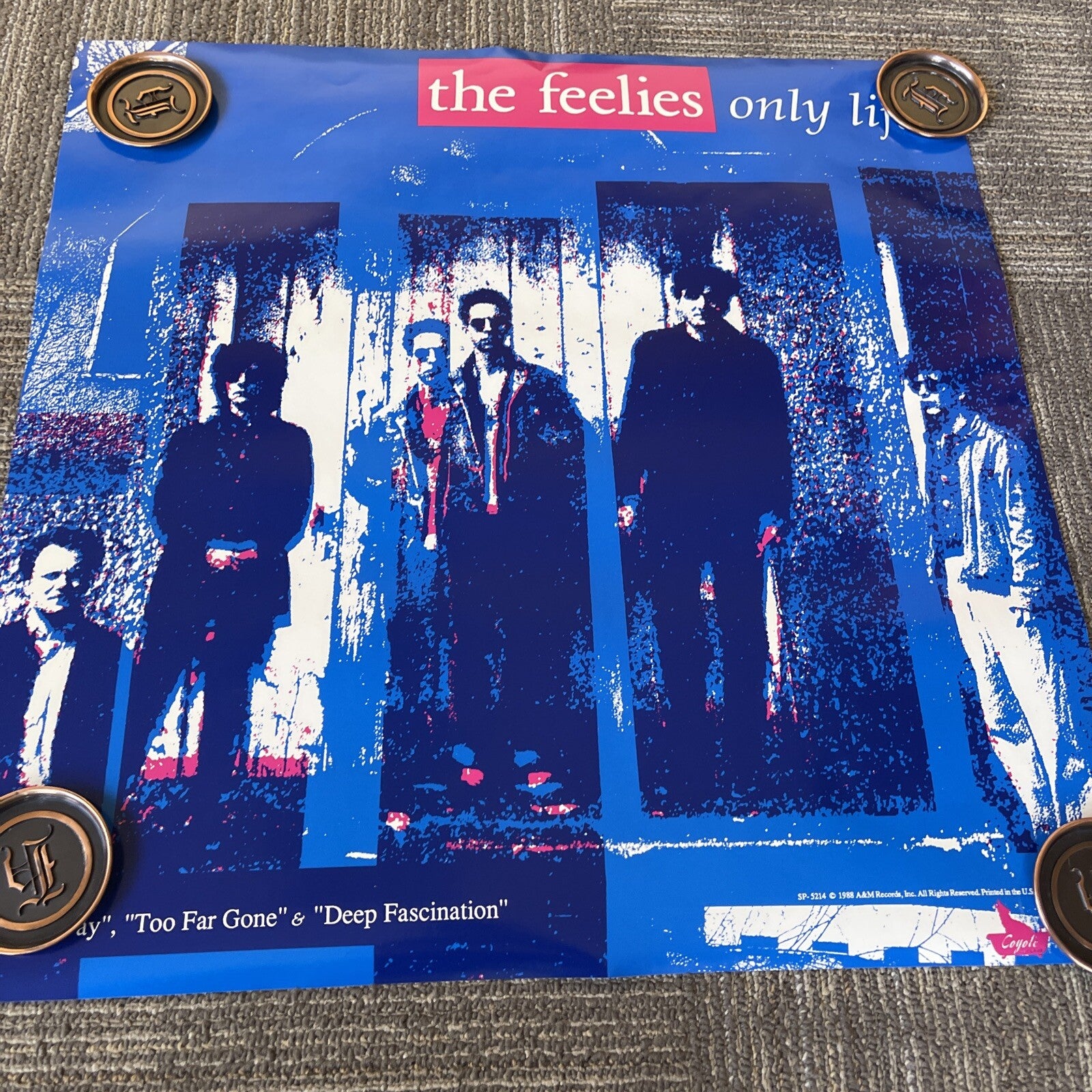1987 The Feelies Only Live Record Store Promo  Poster 24” #556