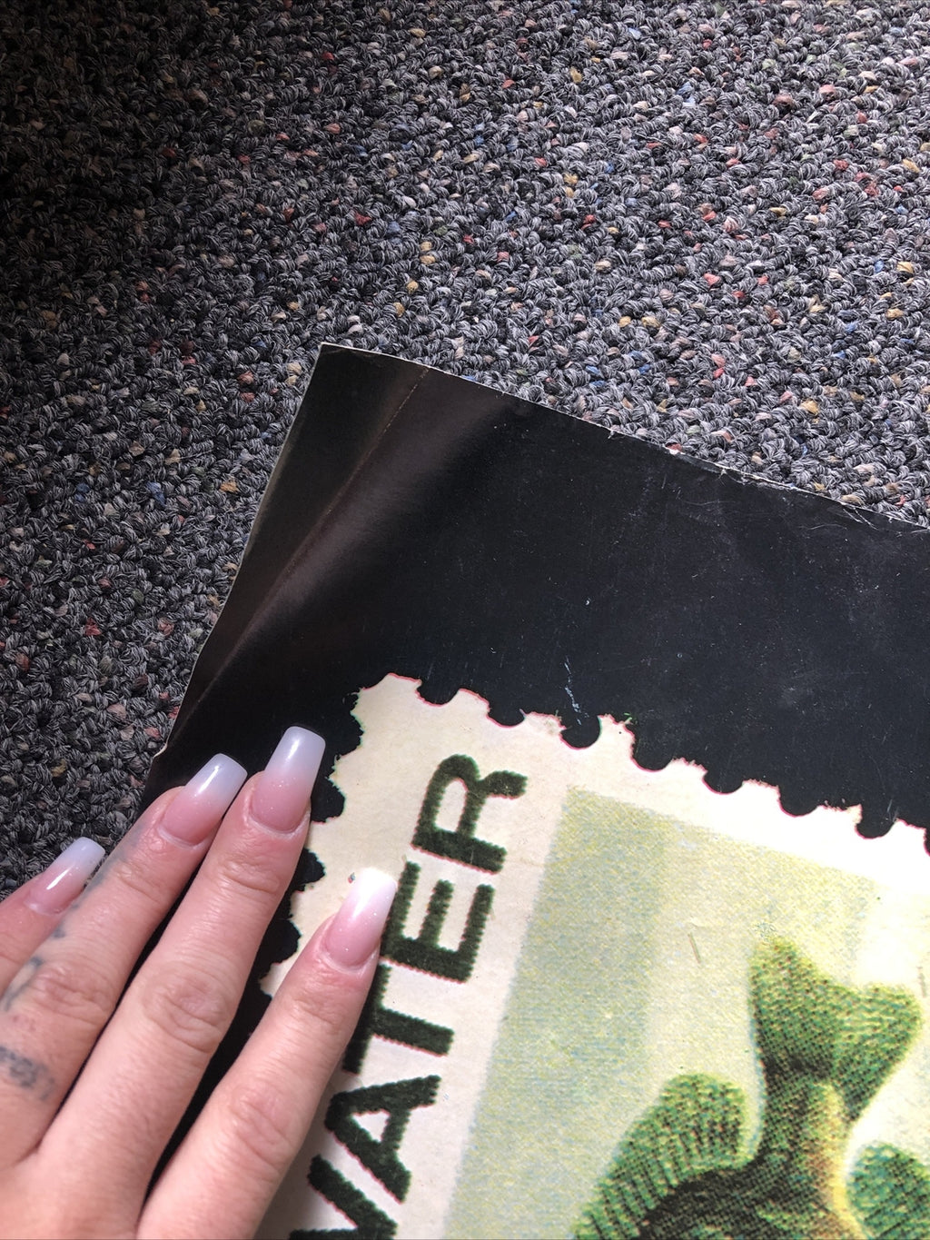 Rare Vintage Save Our Water Cities Soul John Muir US Postage Stamps Poster 40x306