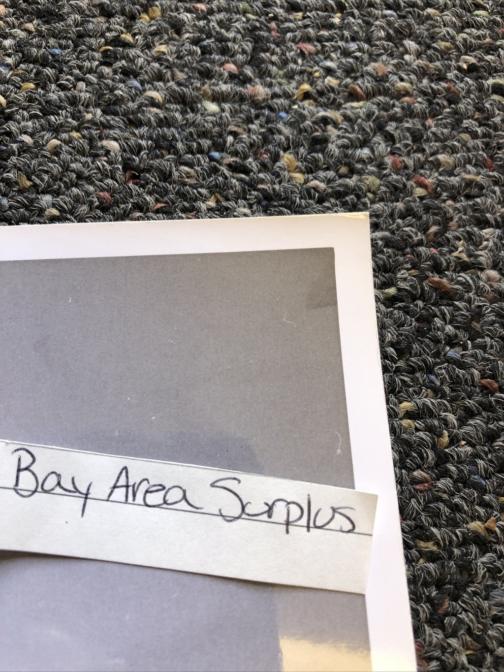 Original Unpublished Photo Of Actress Barbara Nichols Photograph Rare 10”x8”2