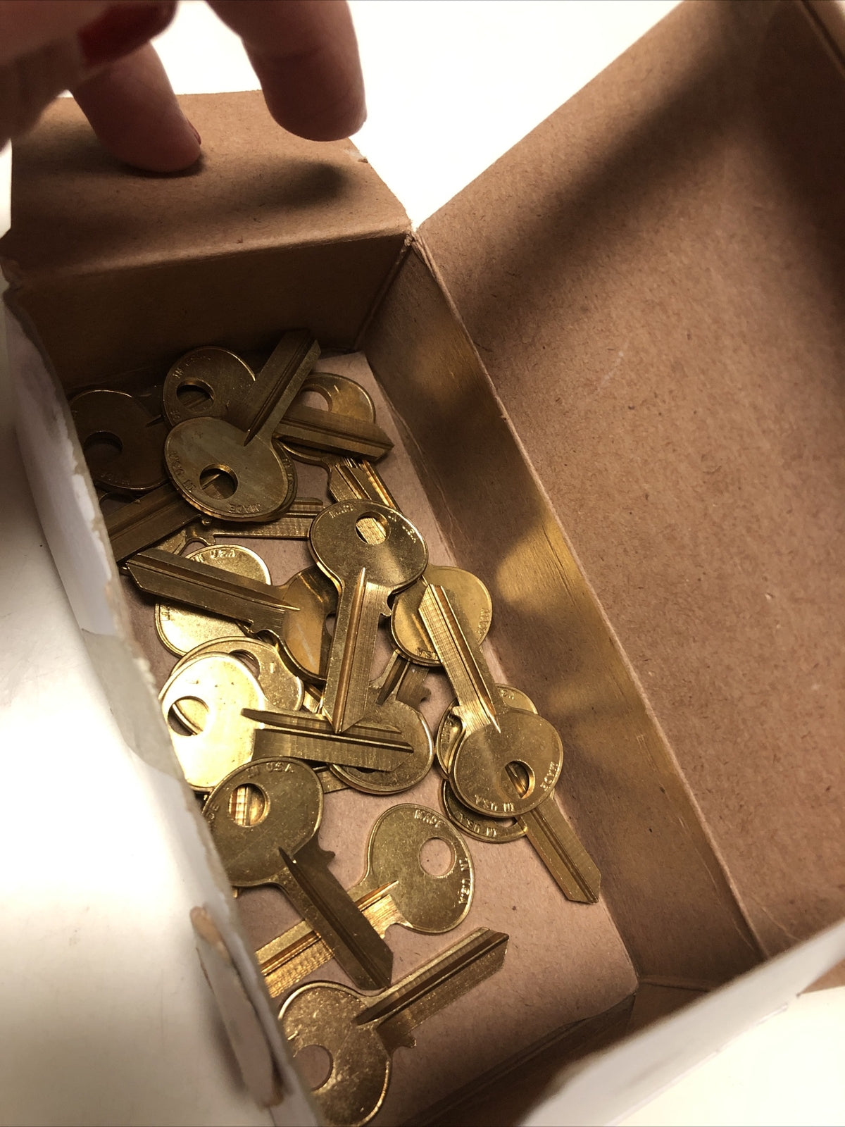 20 Blank Keys - Look Alike H20 Hudson/BR0