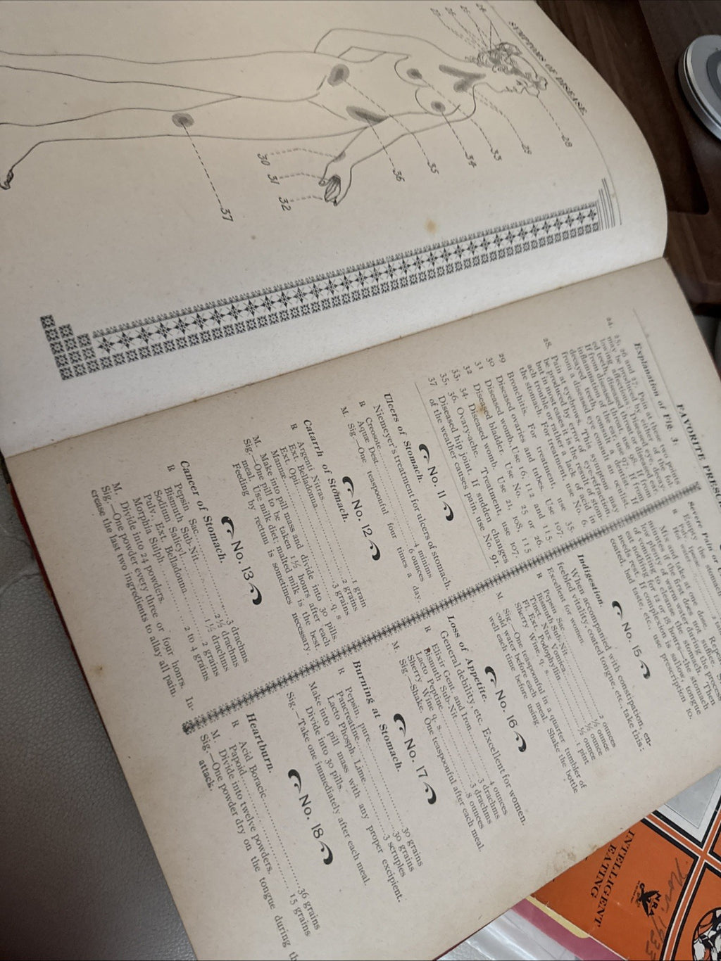 1900 Antique Medical  Book Dr. Weavers Family Atlas Of Human Diseases Rare7