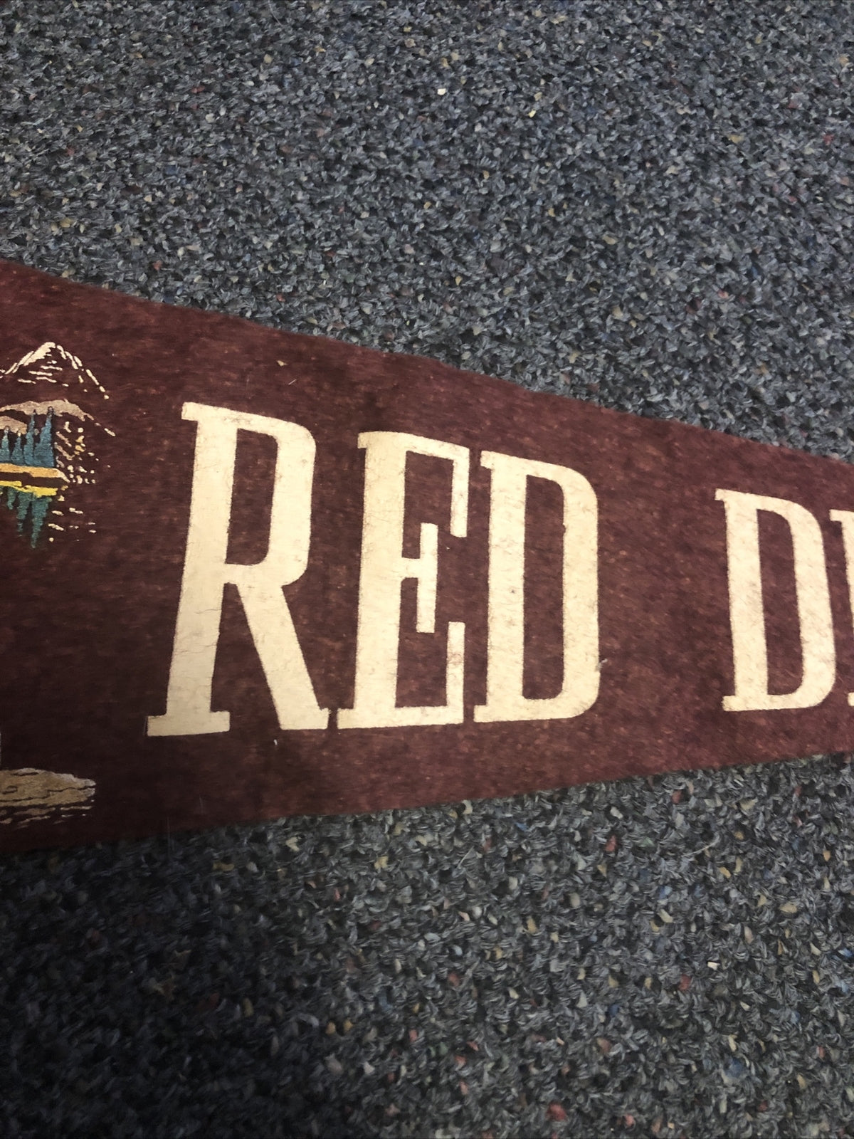 Vintage Red Deer Canada Felt Pennant2