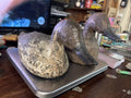 Antique Duck Decoy lot of 2 one signed RB old0