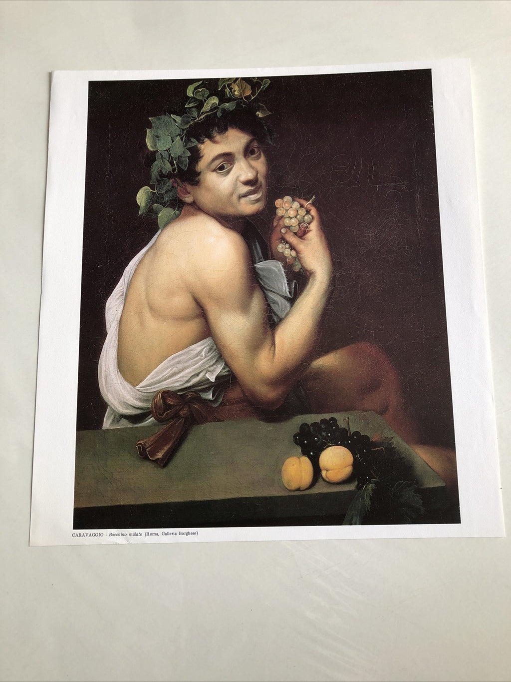Caravaggio Bacchino Malato Print 14.5”x13.5”0