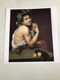 Caravaggio Bacchino Malato Print 14.5”x13.5”0