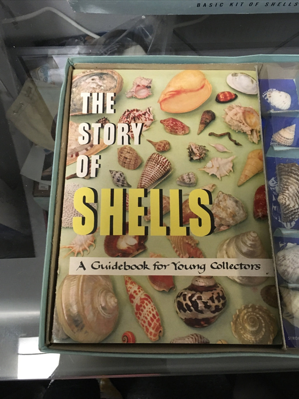 NIB Vintage 50s Complete 1956 Kit of SHELLS Harvey House w Guide Book Included4
