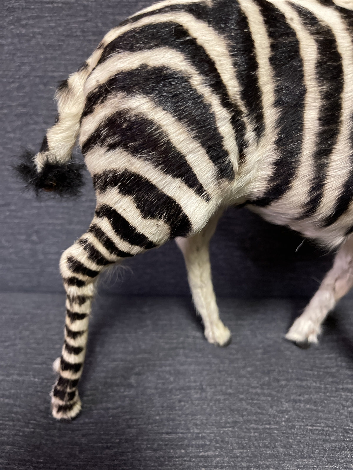 Large Antique Pull Toy Primitive Folk Art  Zebra Horse Incredible!!3