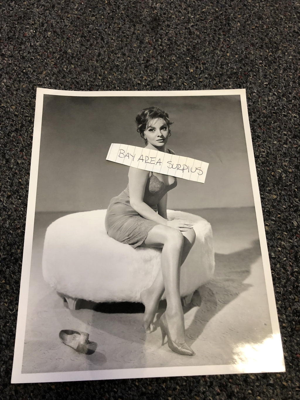 RARE Original Unpublished Photo Of Gina Lollobrigida 10”x8” Glamour Shot0