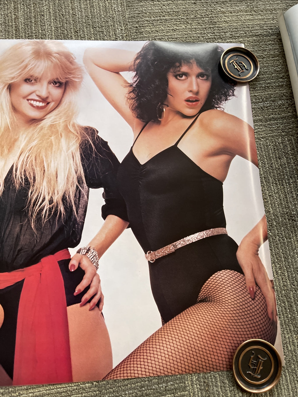 #177 1982 The Pinups Pin-Ups Record Store Promo Poster Song On The Radio 24x36”5