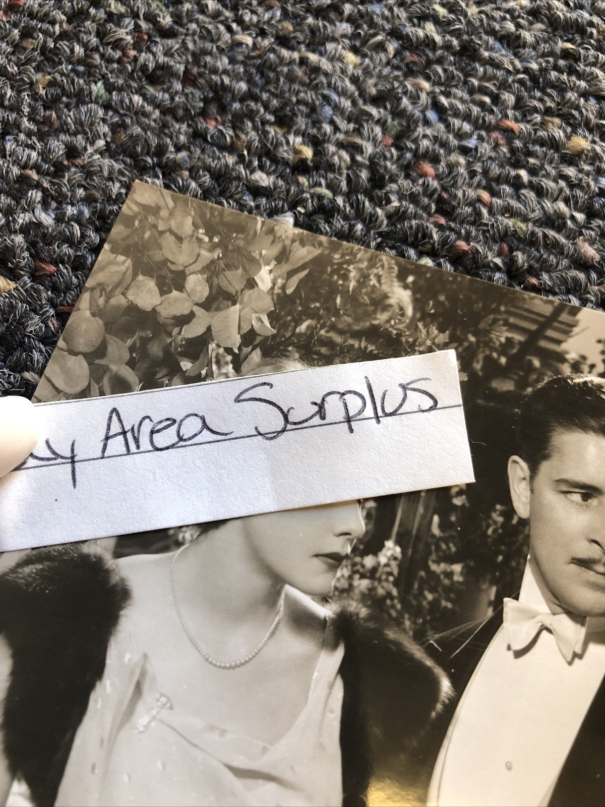 Rare Original Unpublished Photo Of RONALD COLMAN & ELISSA LANDI 5”x4”3