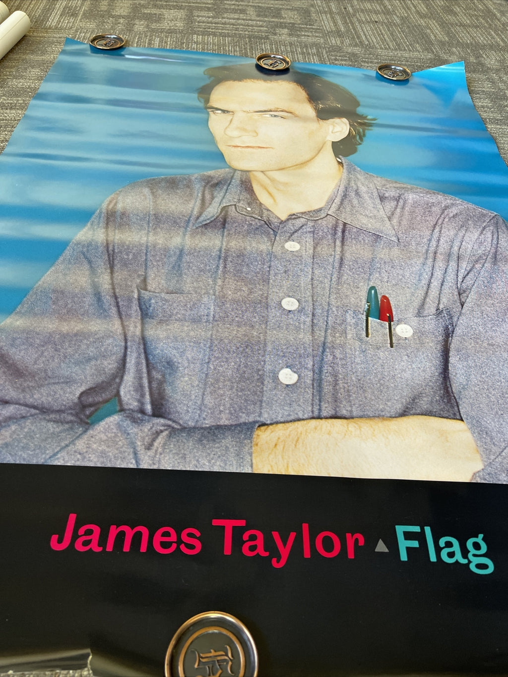 #84 1979 James Taylor Record Store Promo Poster Flag 48” X 36”3