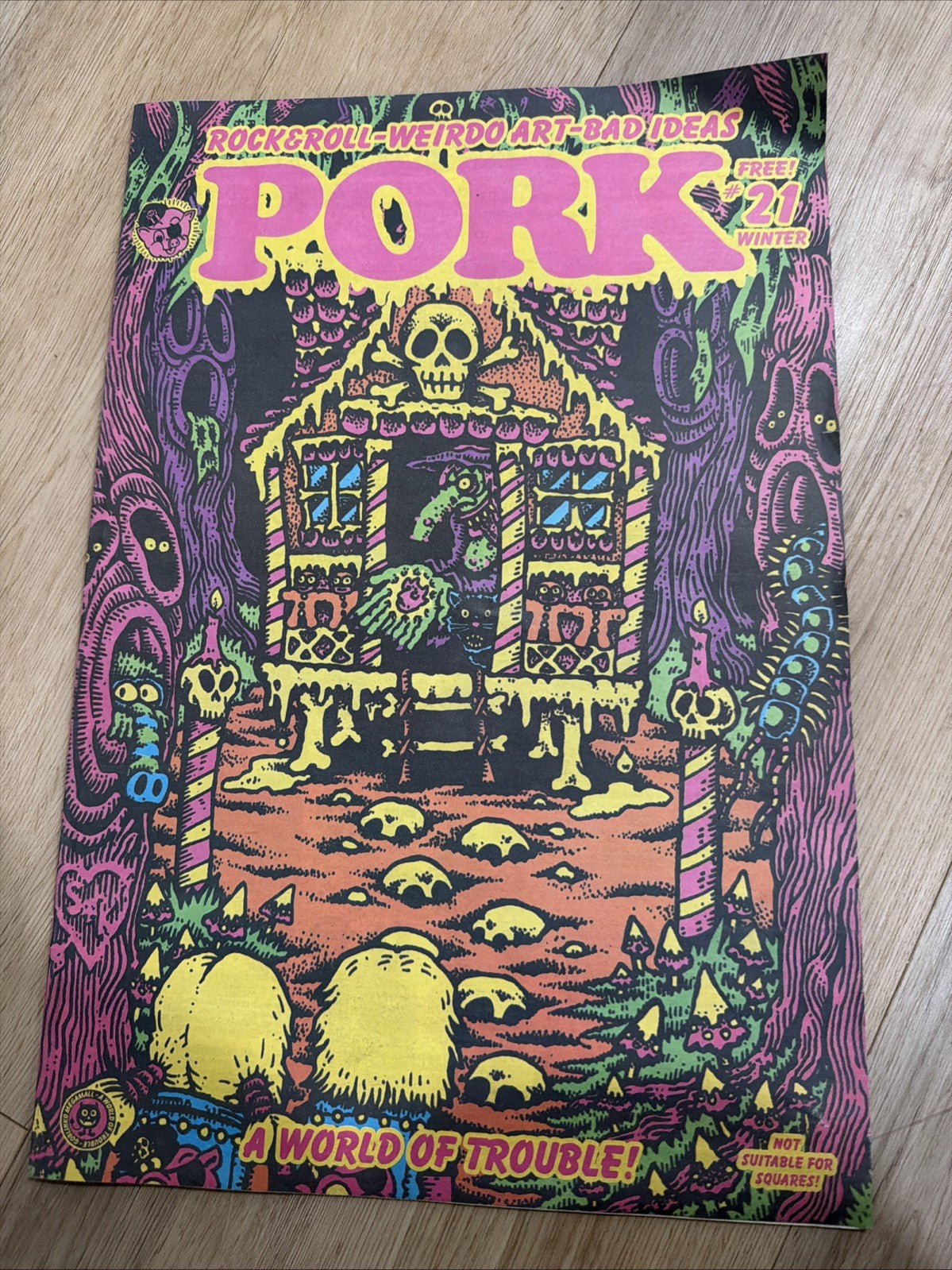 Pork Magazine #21 Rock & Roll Weirdo Art Bad Ideas Rare Zine Gwar0
